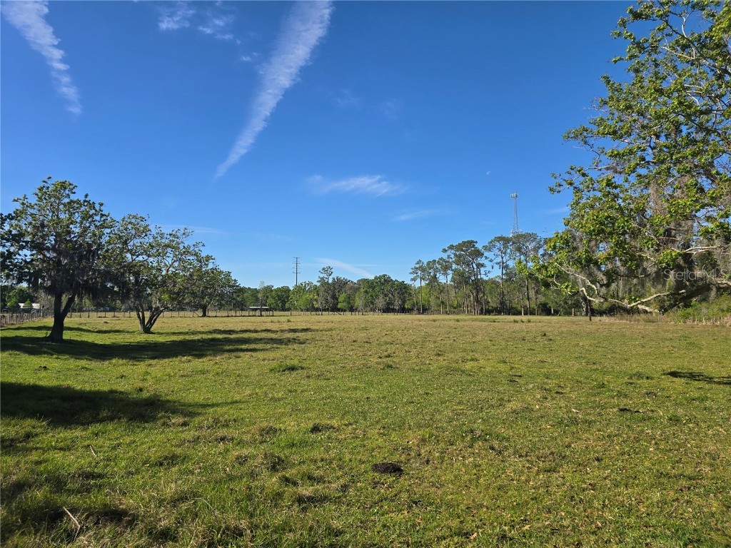 Johnson Road Auburndale FL 33823 P4934235 image6