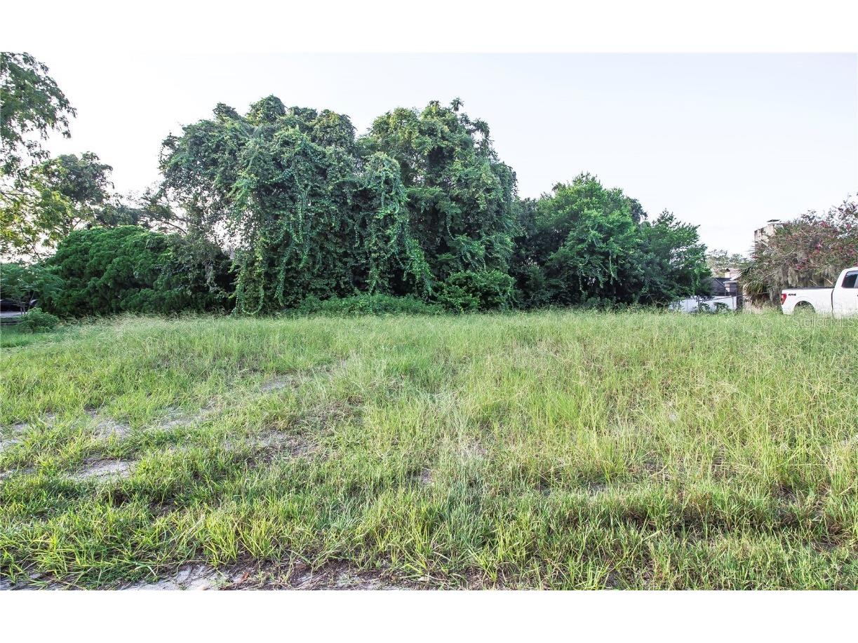 Jolly Roger Drive Hudson FL 34669 W7857517 image1