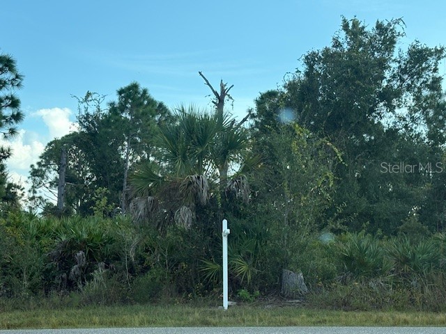 Joslyn Terrace Port Charlotte FL 33981 D6144919 image2