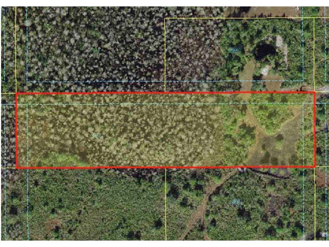 Journigan Road Saint Cloud FL 34773 O5972510 image1