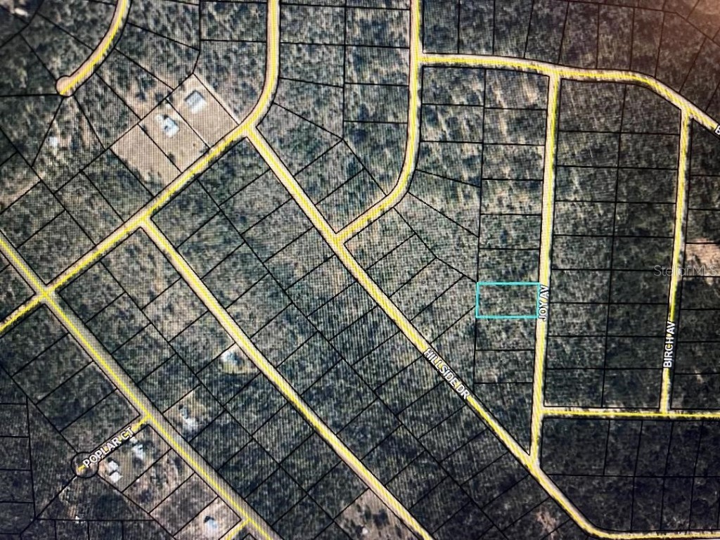 Joy Avenue Marianna FL 32448 OM651765 image1