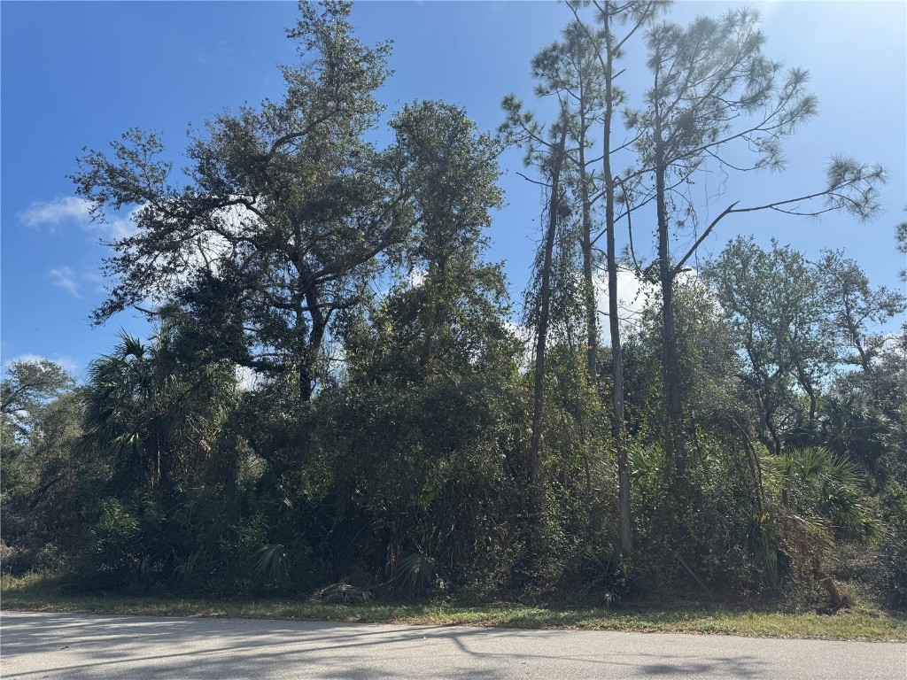 Joyce Avenue North Port FL 34286 - CREIGHTON WATERWAY TB8345800 image2