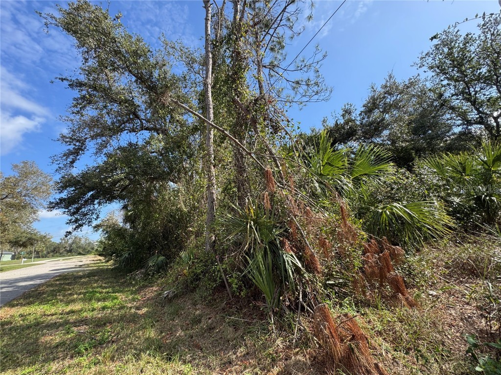 Joyce Avenue North Port FL 34286 - CREIGHTON WATERWAY TB8345800 image4