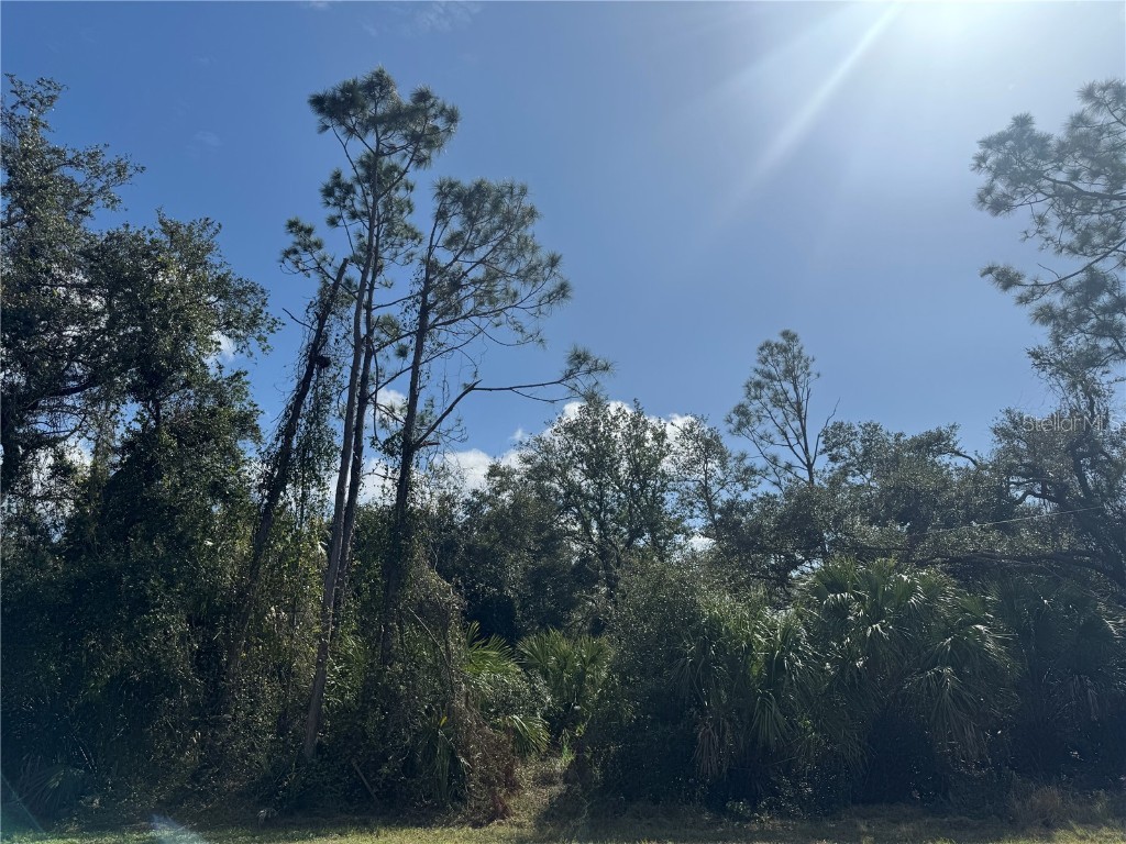 Joyce Avenue North Port FL 34286 - CREIGHTON WATERWAY TB8345800 image5