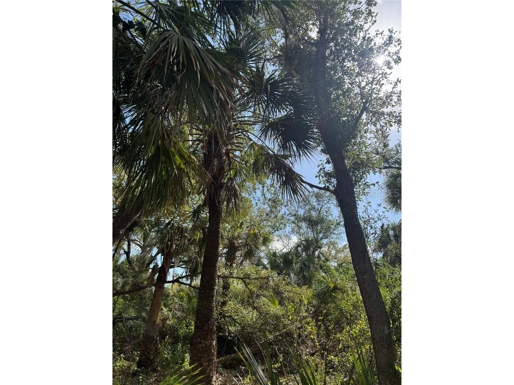 Joyce Avenue North Port FL 34286 - CREIGHTON WATERWAY TB8345800 image6