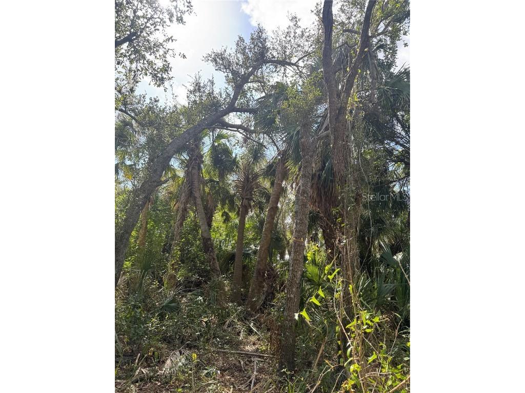 Joyce Avenue North Port FL 34286 - CREIGHTON WATERWAY TB8345800 image7