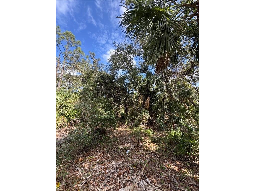 Joyce Avenue North Port FL 34286 - CREIGHTON WATERWAY TB8345800 image8