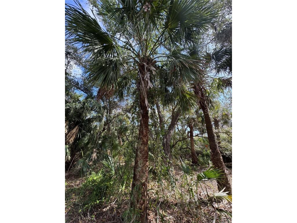 Joyce Avenue North Port FL 34286 - CREIGHTON WATERWAY TB8345800 image9