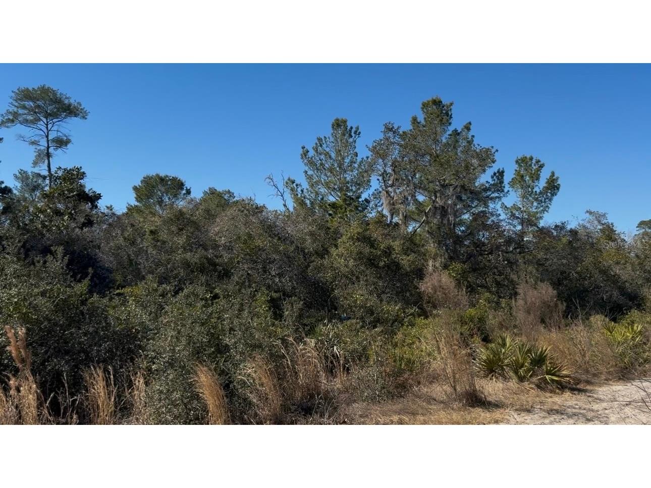 Joyce (Paper) Street Deltona FL 32725 O6382651 image1