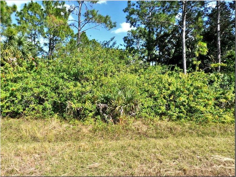 Jubilee Circle North Port FL 34288 O6191378 image2