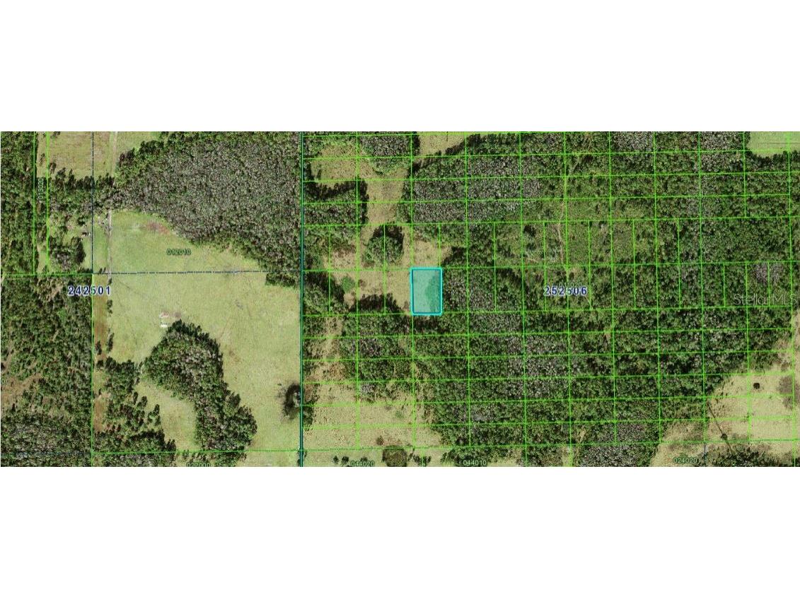 Judy Rd Polk City FL 33868 O6266952 image3