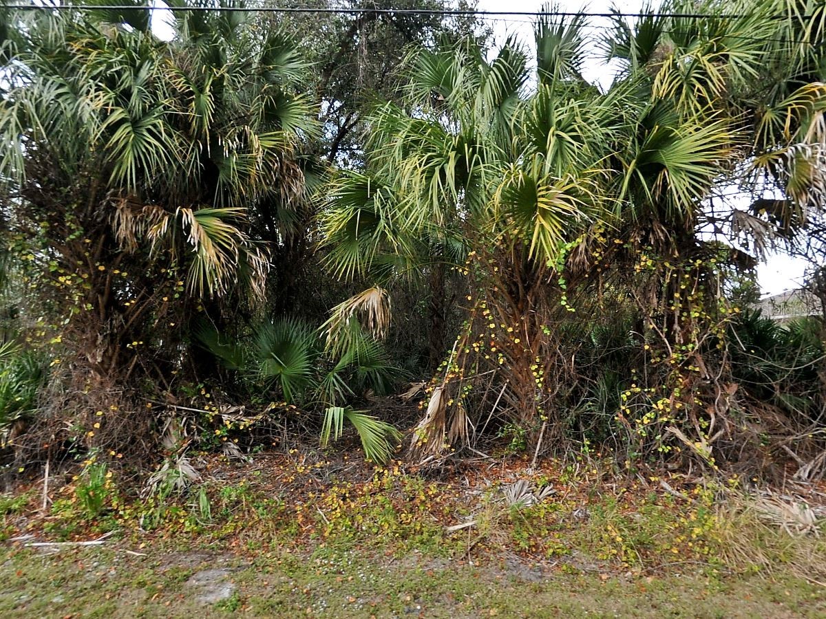 Julia Terrace North Port FL 34286 C7526549 image3