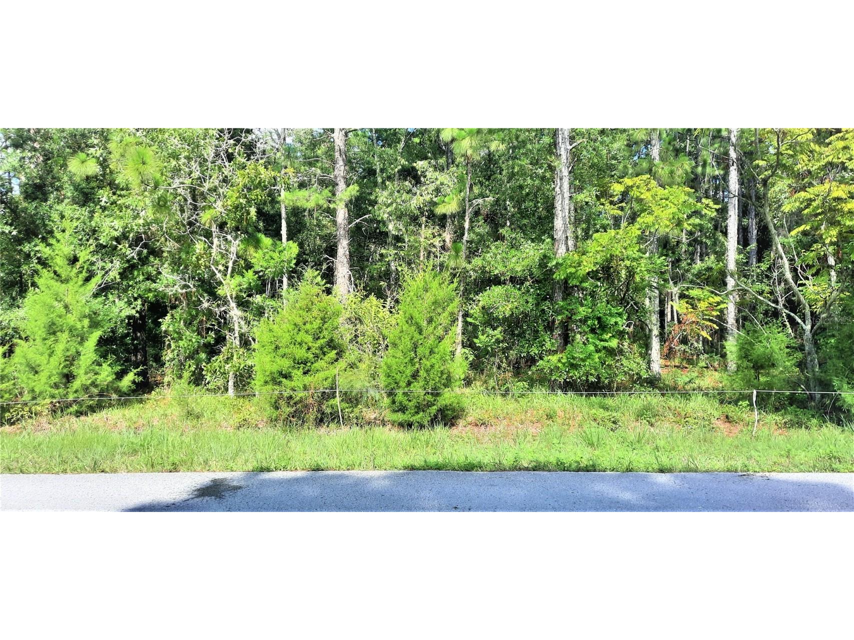 Jumper Loop Spring Hill FL 34609 W7847232 image1