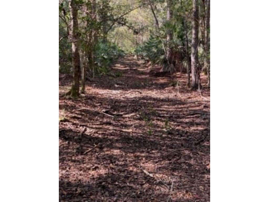 Jungle Road Geneva FL 32732 A4553246 image1