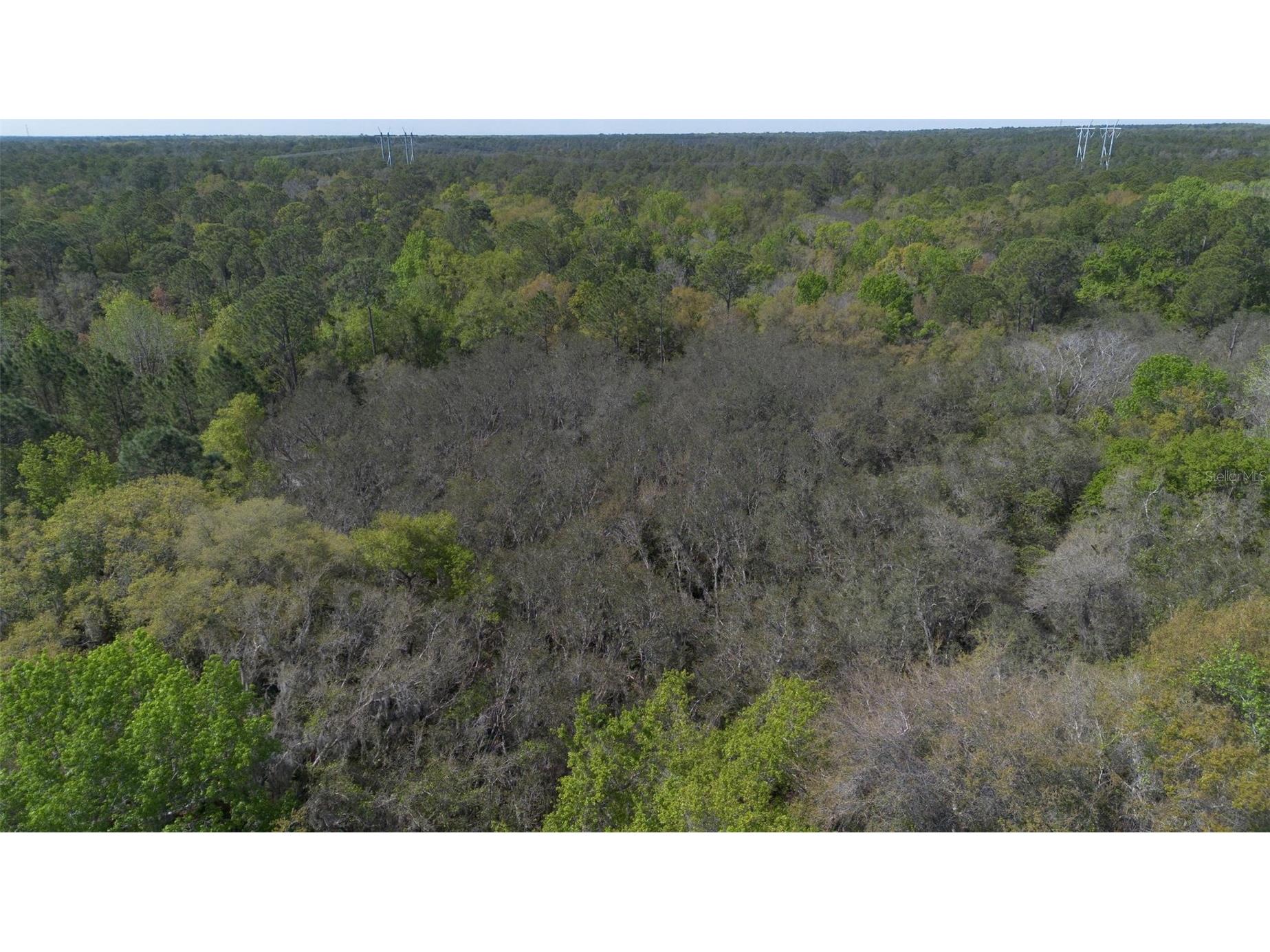 Jungle Road Geneva FL 32732 V4947563 image21