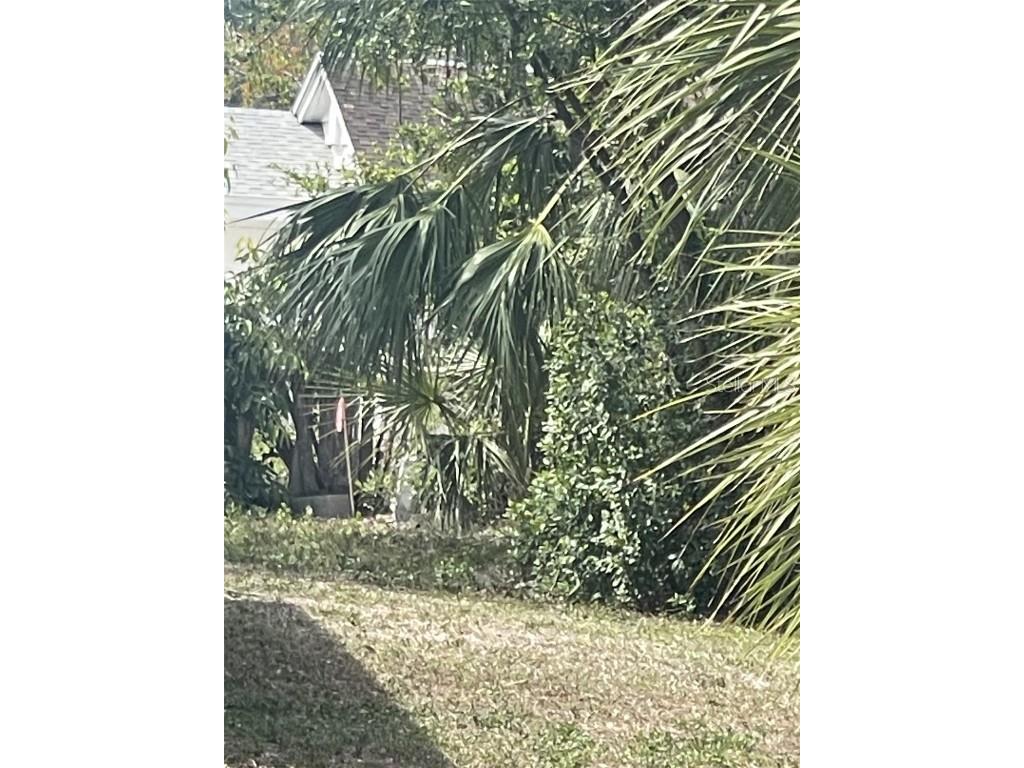 Jungle Way Sarasota FL 34243 A4654685 image5