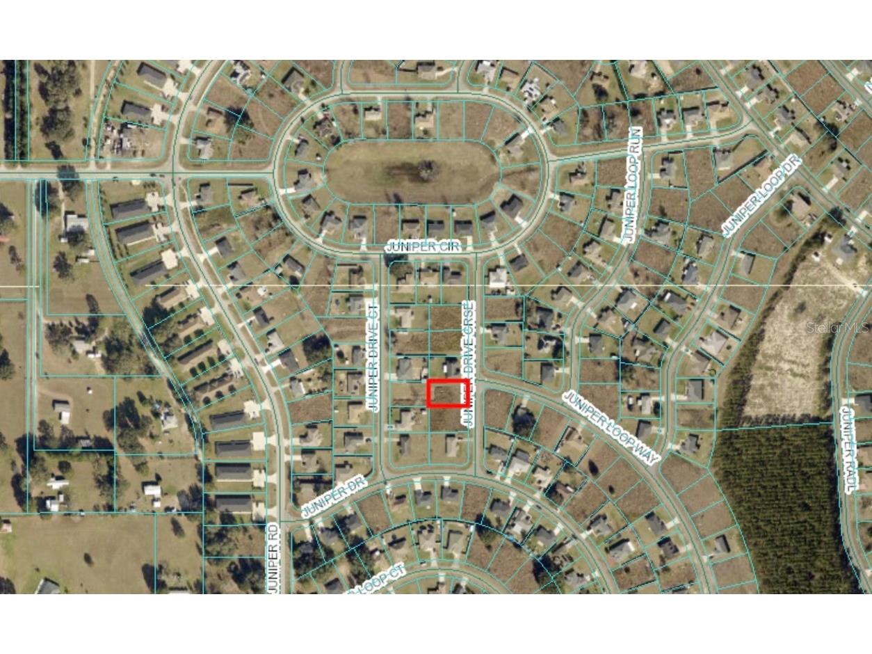 Juniper Drive Course Ocala FL 34480 OM701876 image1