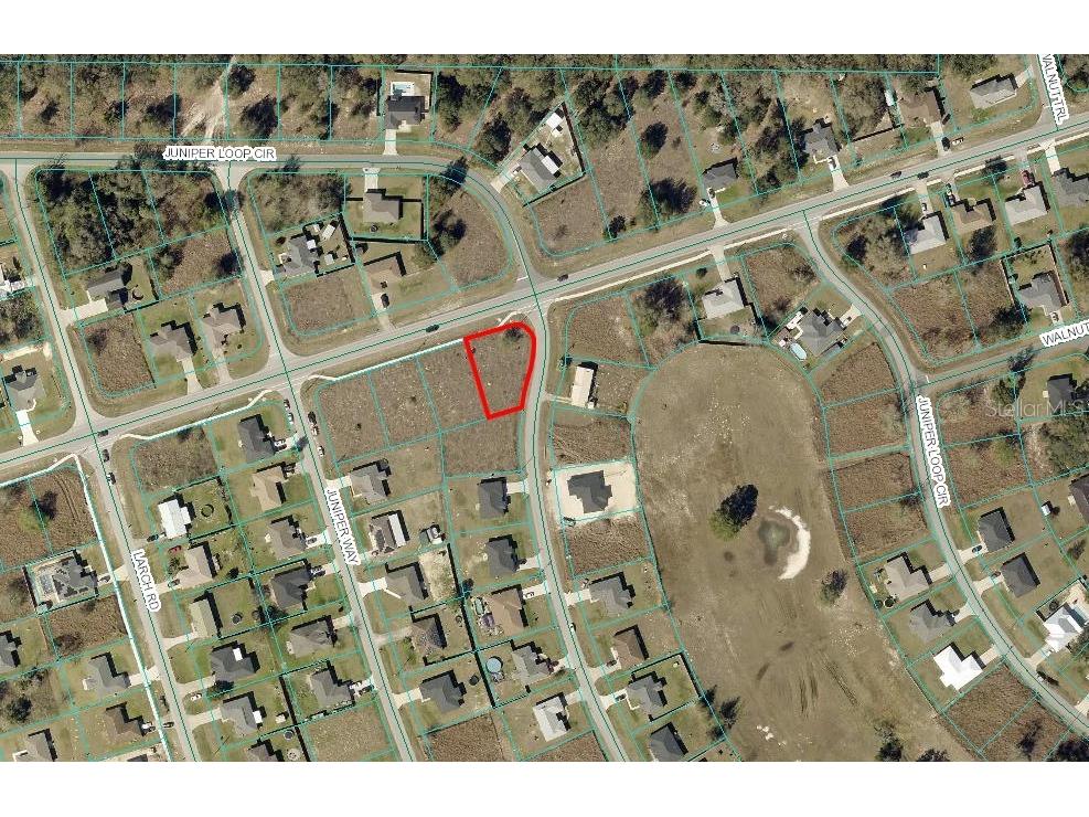 Juniper Loop Cir Ocala FL 34472 OM692865 image2