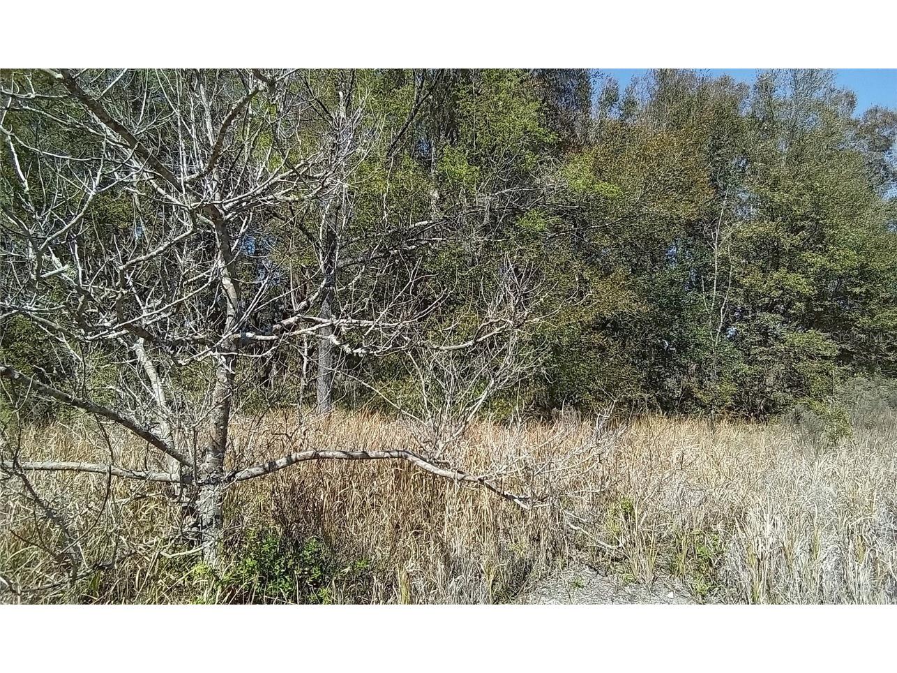 Juniper Loop Circle Ocala FL 34472 OM676103 image1