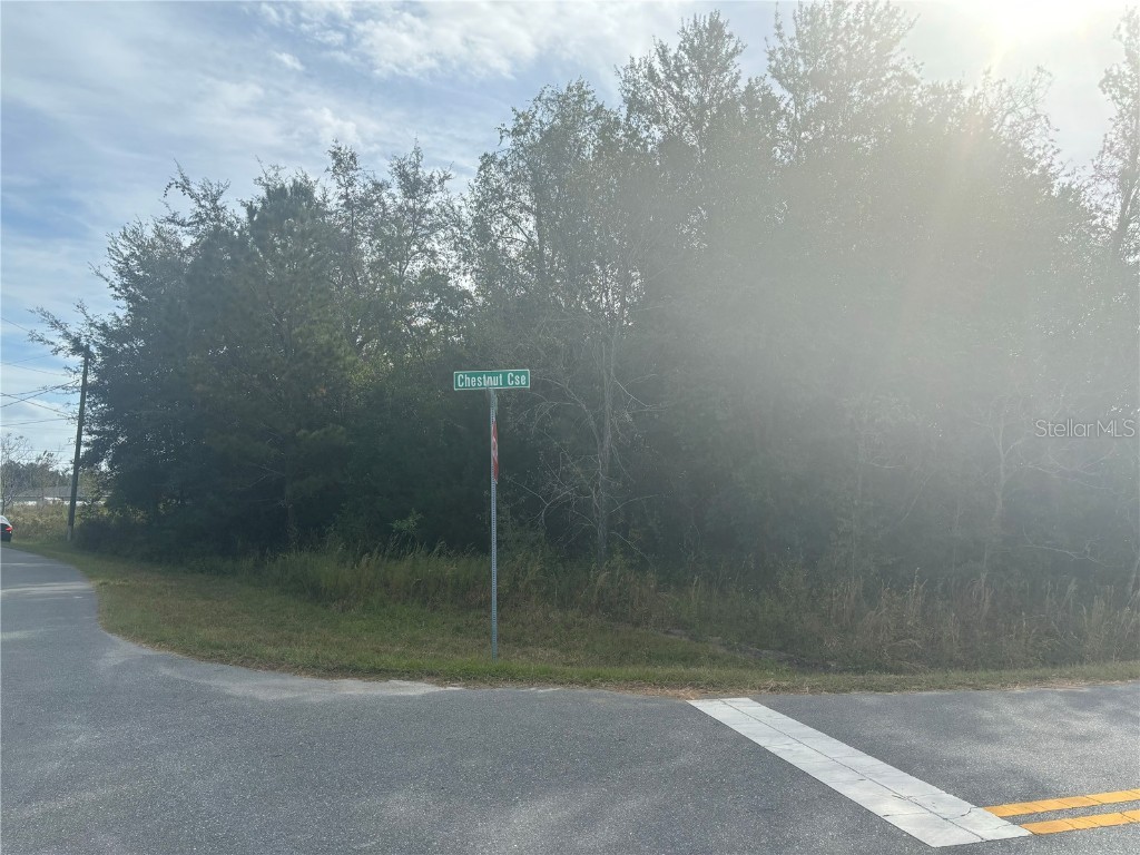 Juniper Loop Court Ocala FL 34480 O6161045 image1