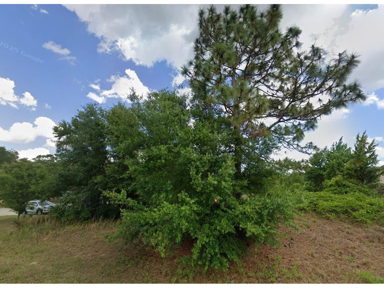 Juniper Pass Ocala FL 34480 O6422432 image2