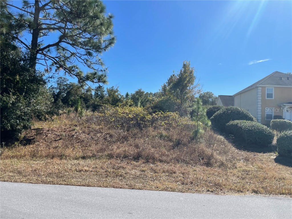 Juniper Pass Ocala FL 34482 OM712570 image1