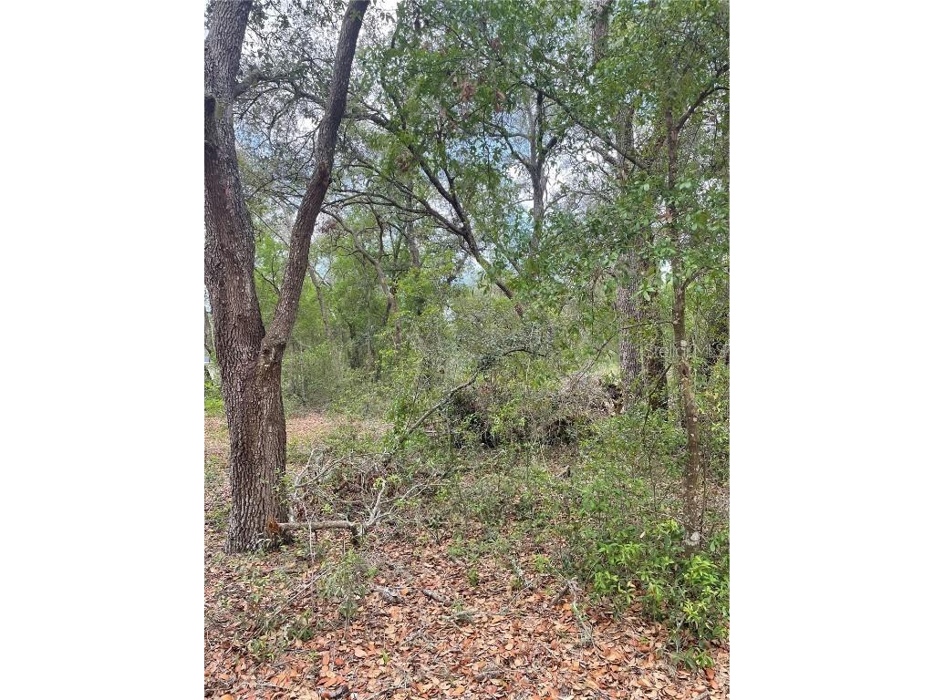 Juniper Street Lady Lake FL 32159 O6305976 image1