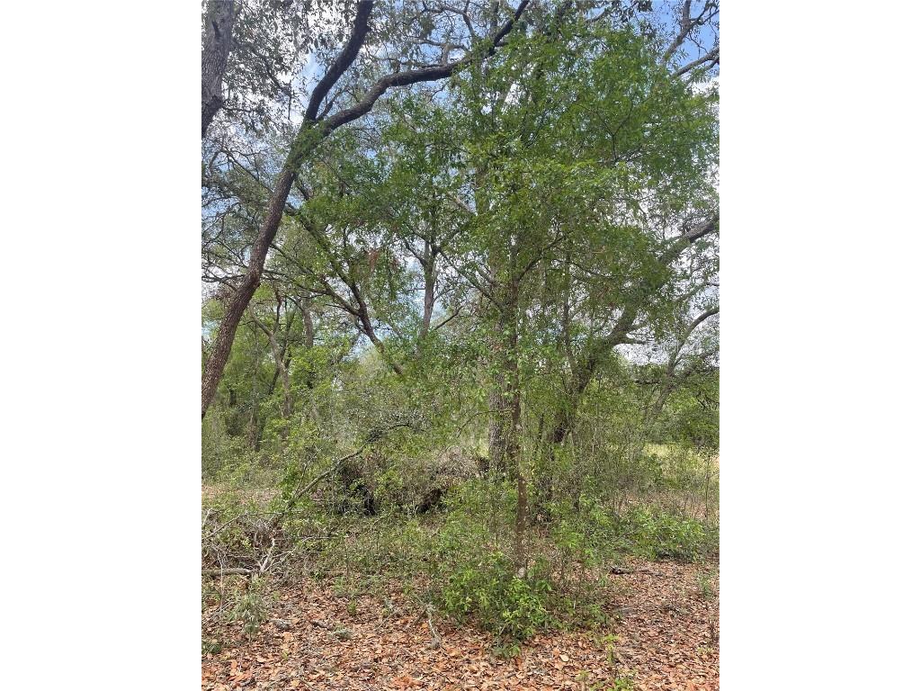 Juniper Street Lady Lake FL 32159 O6305976 image2