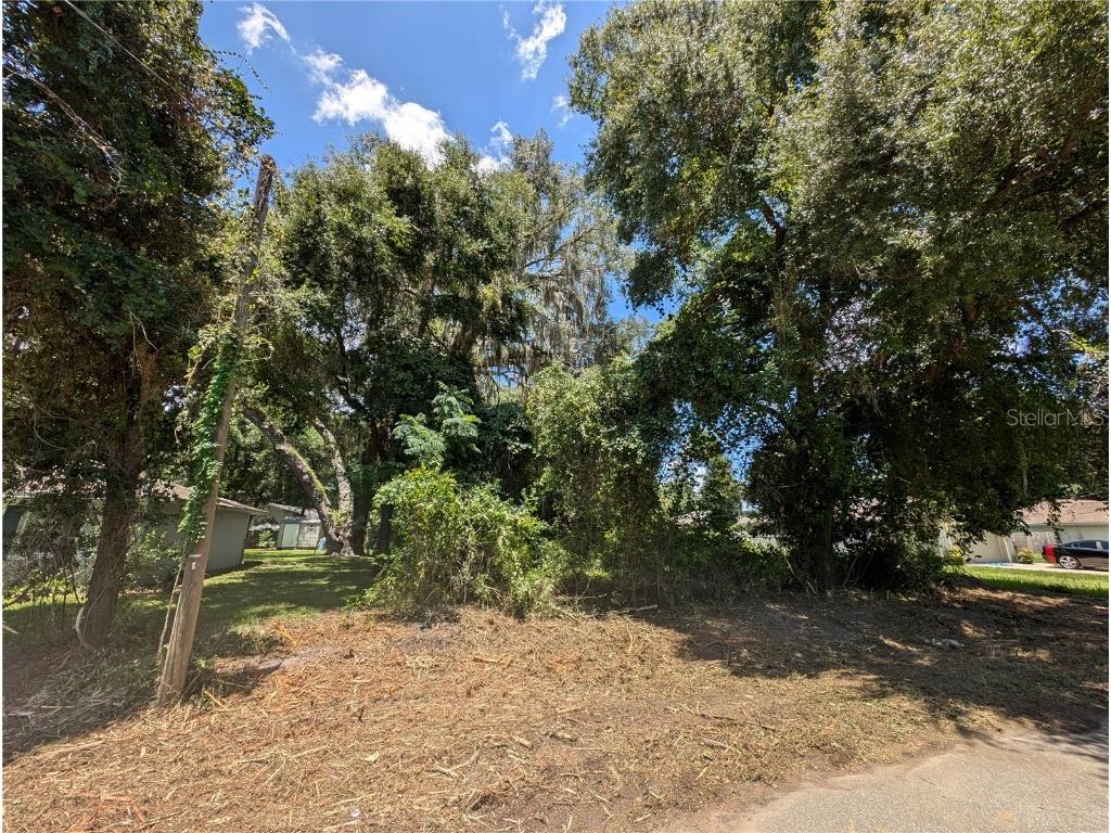 Juniper Trail Ocala FL 34480 OM682357 image1