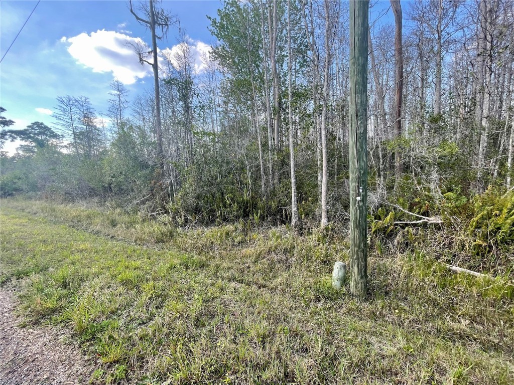 Jupiter Drive Saint Cloud FL 34773 G5065734 image1