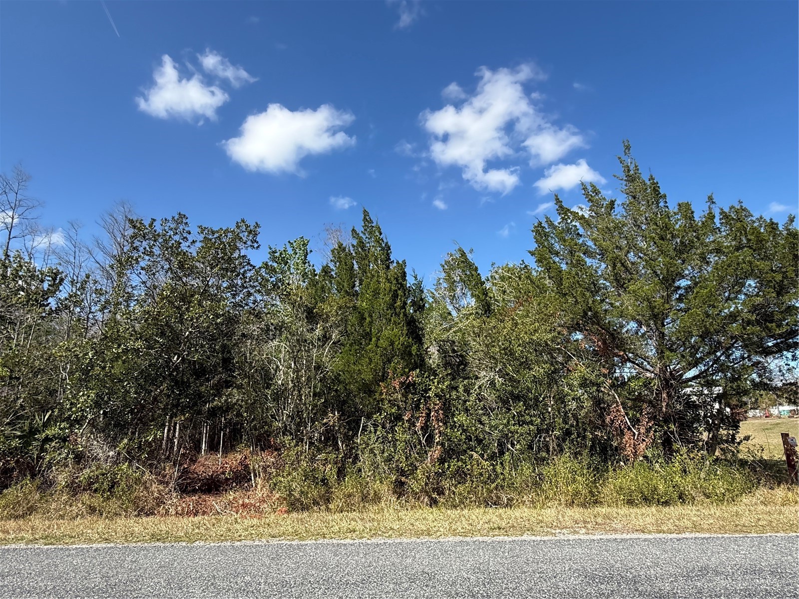 Jupiter Drive Saint Cloud FL 34773 O6388454 image4