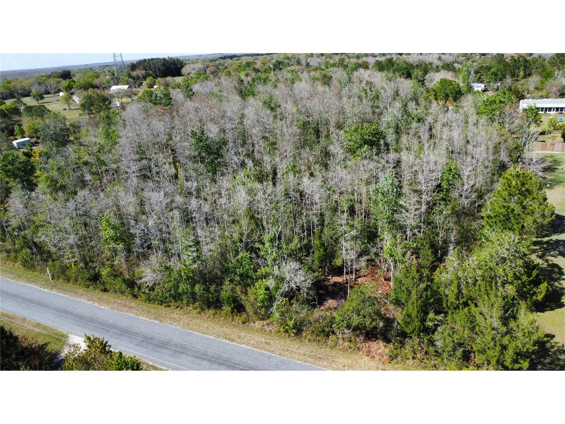 Jupiter Drive Saint Cloud FL 34773 O6388454 image5
