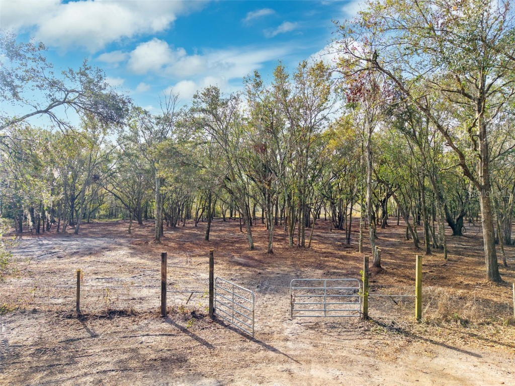 Justin Lane Plant City FL 33565 TB8328790 image1