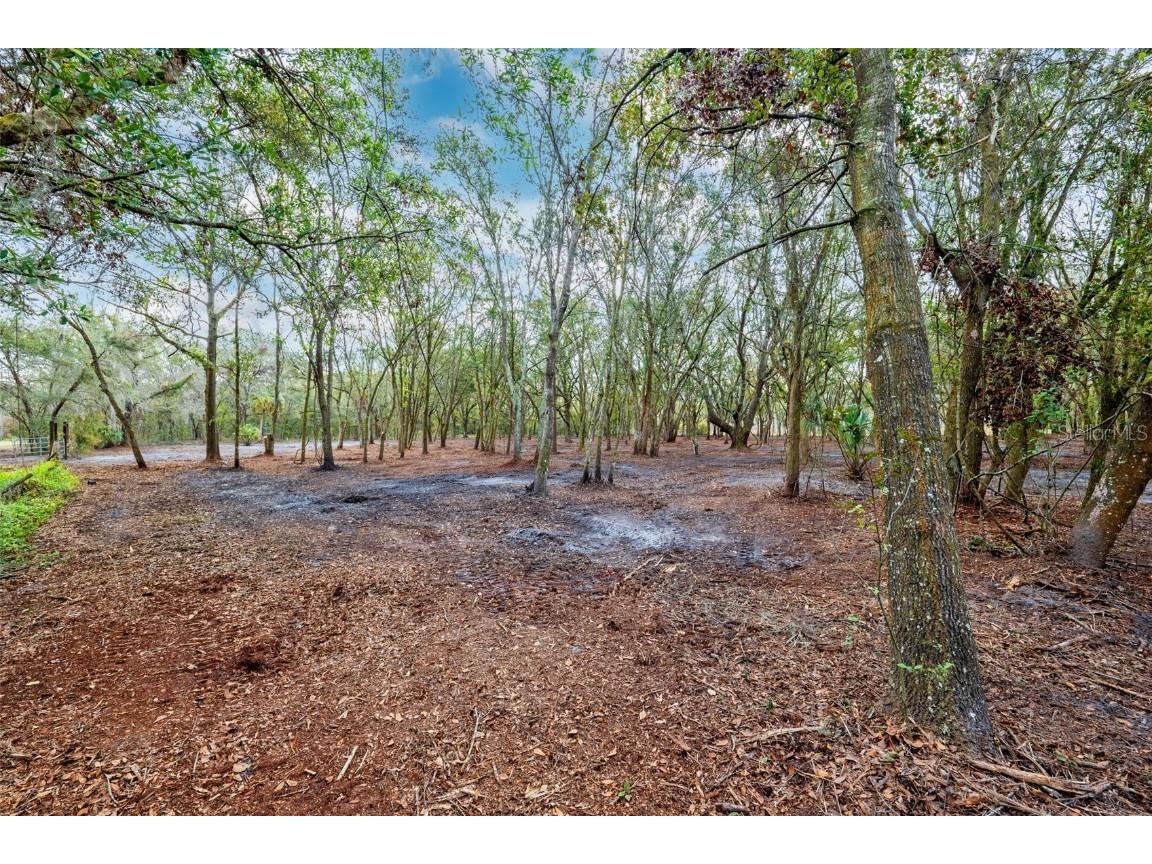 Justin Lane Plant City FL 33565 TB8328790 image2