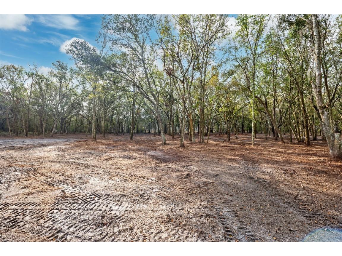 Justin Lane Plant City FL 33565 TB8328790 image3