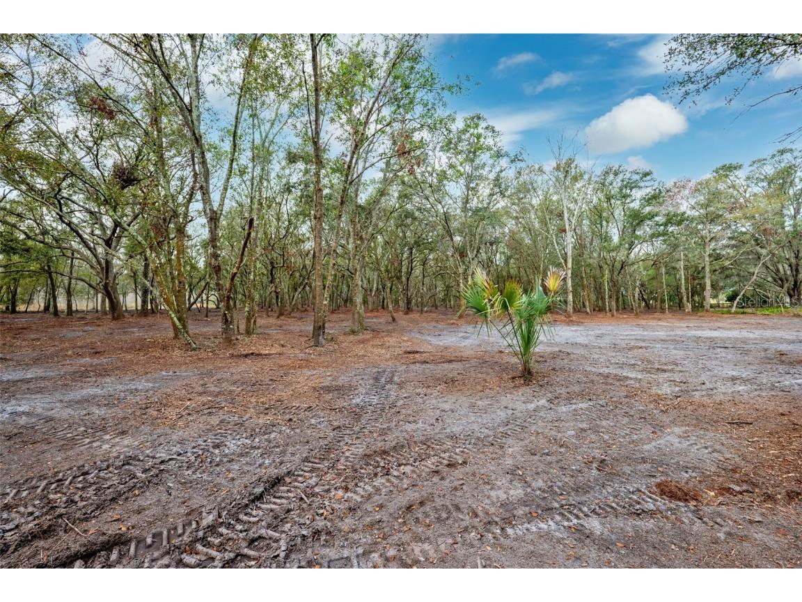 Justin Lane Plant City FL 33565 TB8328790 image4