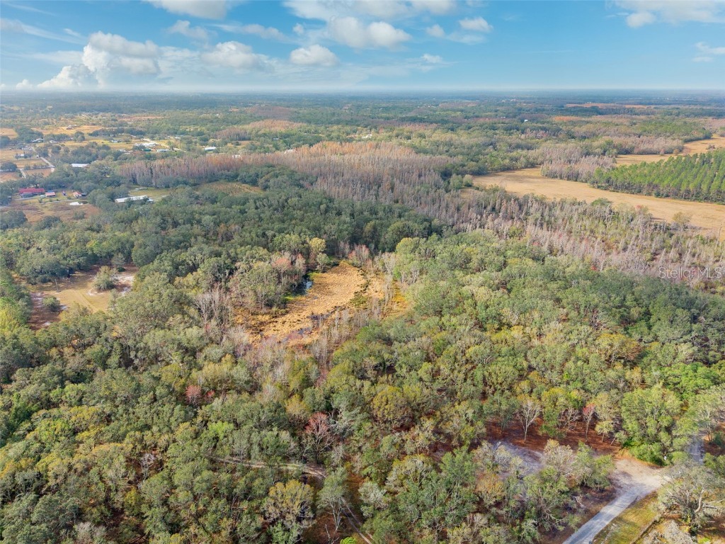 Justin Lane Plant City FL 33565 TB8328790 image6