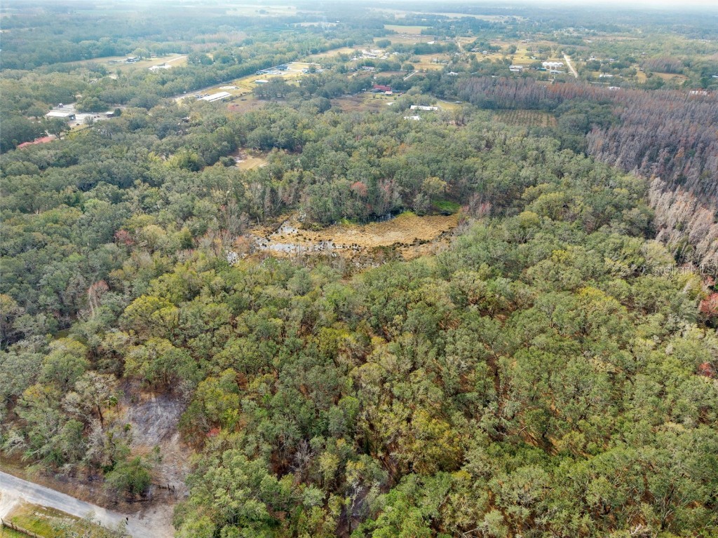 Justin Lane Plant City FL 33565 TB8328790 image7