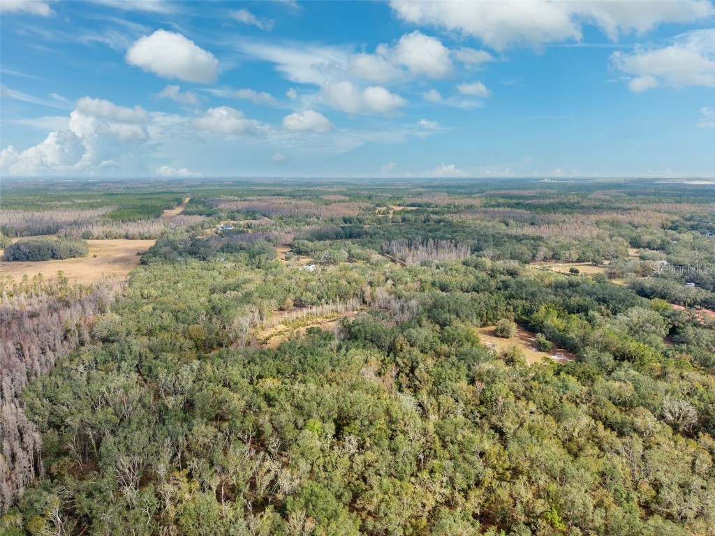 Justin Lane Plant City FL 33565 TB8328790 image9