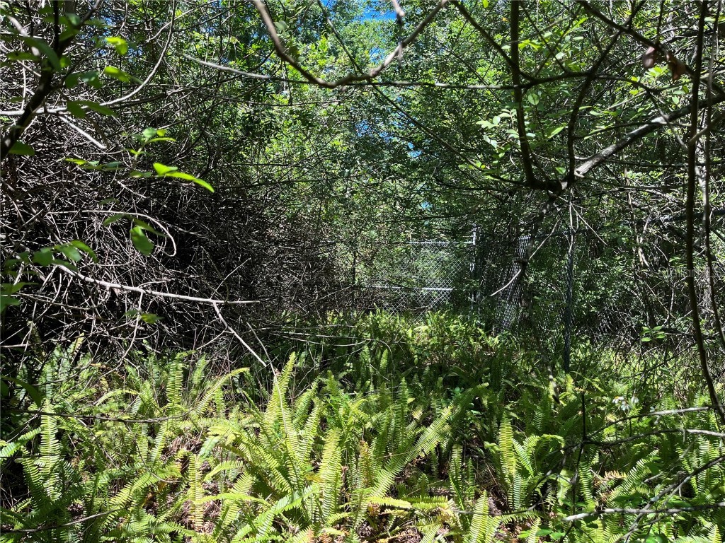 K Ville Avenue Auburndale FL 33823 OK222650 image1