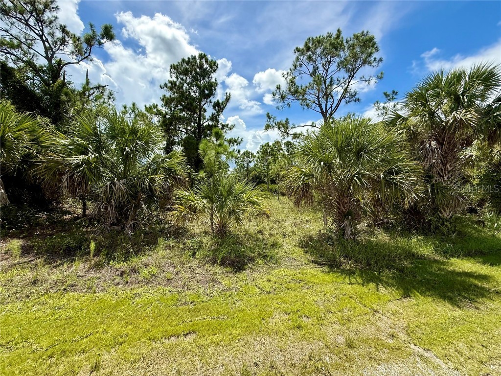 Kabbaby St North Port FL 34288 C7513403 image6