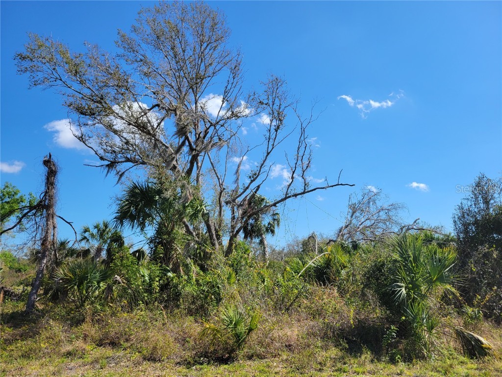 Kacher Road North Port FL 34288 D6133387 image1