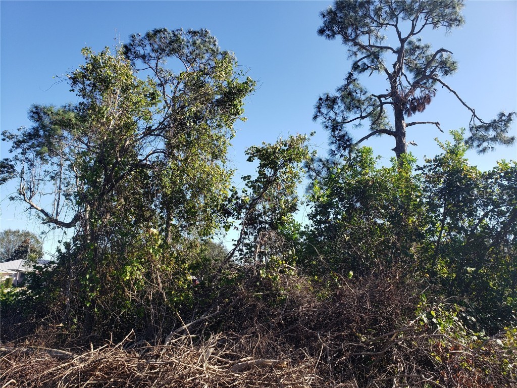 Kacher Road North Port FL 34288 N6126991 image1