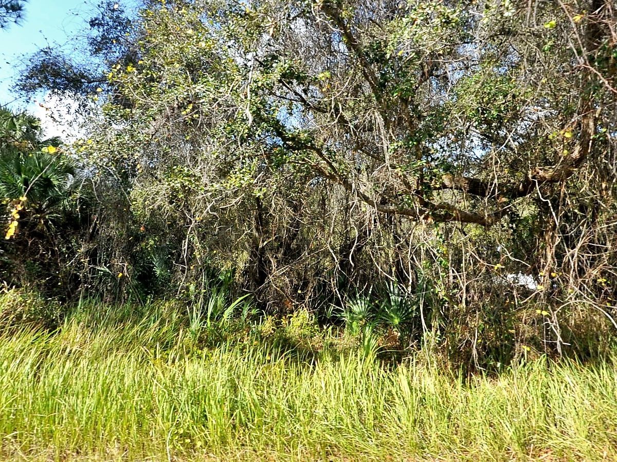 Kacher Road North Port FL 34288 D6146601 image1