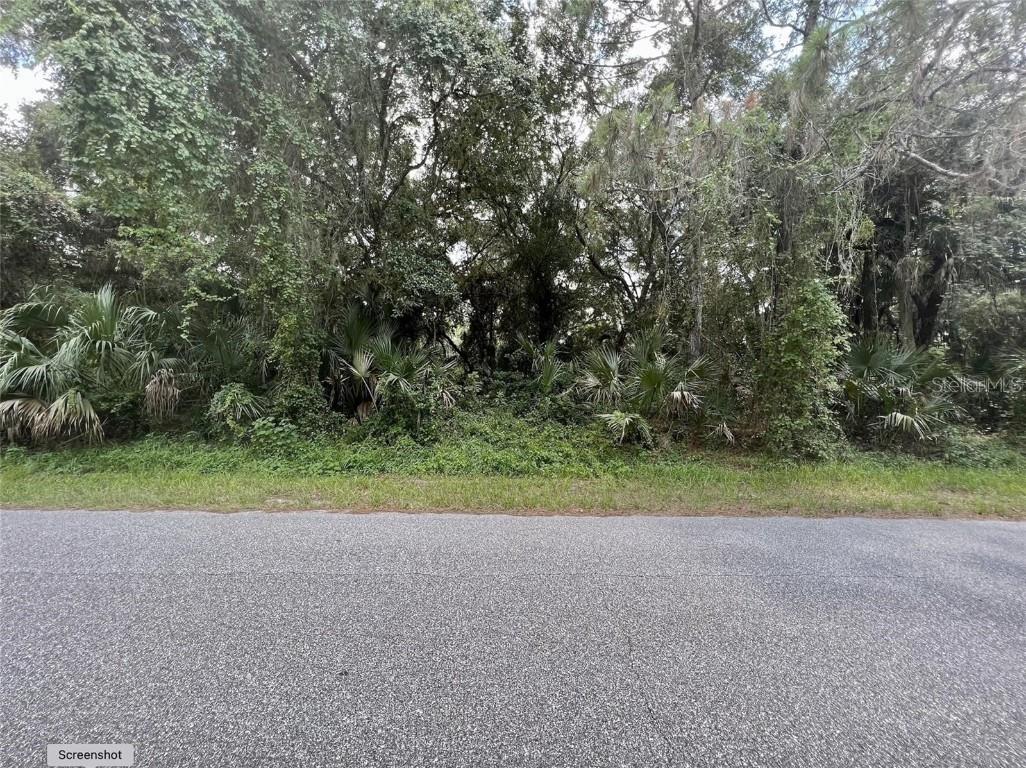 Kalish Avenue North Port FL 34286 N6139158 image1