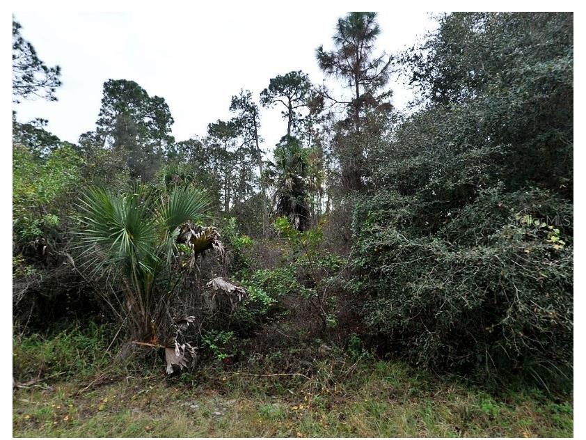 Kamain Road North Port FL 34288 C7511689 image1