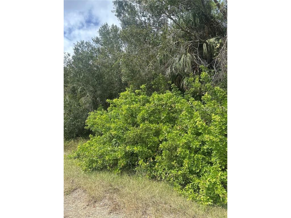 Kamain Road North Port FL 34288 N6141272 image1