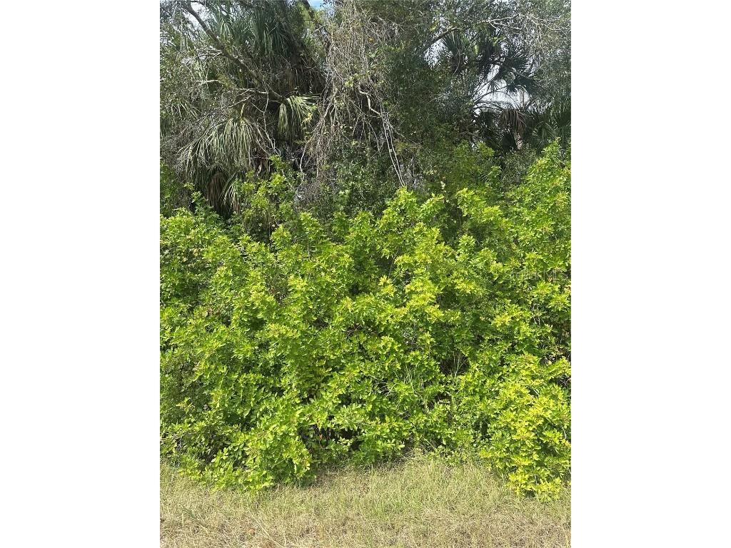 Kamain Road North Port FL 34288 N6141272 image2