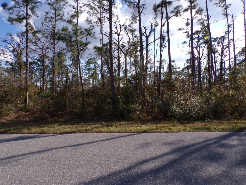 Kamsler Avenue North Port FL 34286 C7504783 image1