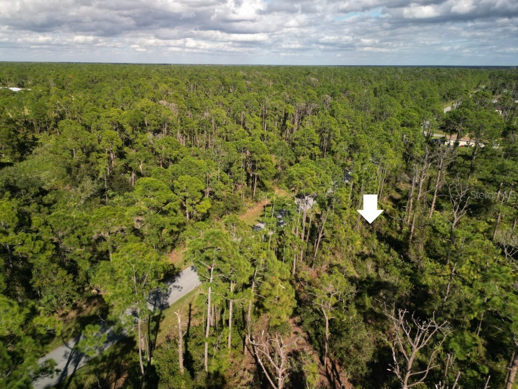 Kamsler Avenue North Port FL 34286 C7517111 image4